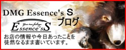 DMG Essence'sＳブログ